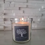 Vakantiehuis Mas La Solarie Au Coeur Des Cevennes Avec Acces Prive A La Riviere Thoiras