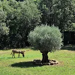 Mas La Solarie Au Coeur Des Cevennes Avec Acces Prive A La Riviere Thoiras