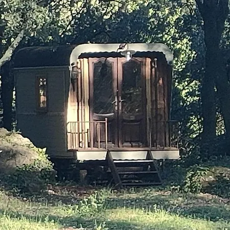 Mas La Solarie Au Coeur Des Cevennes Avec Acces Prive A La Riviere Feriehus *