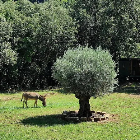 Mas La Solarie Au Coeur Des Cevennes Avec Acces Prive A La Riviere Thoiras