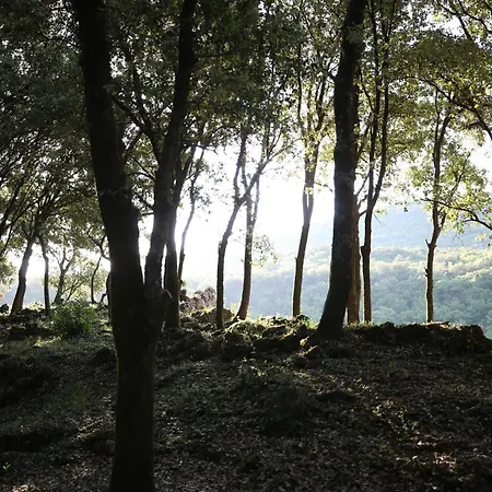 펜션 Mas La Solarie - Piscine & Riviere Privee - Cevennes Thoiras