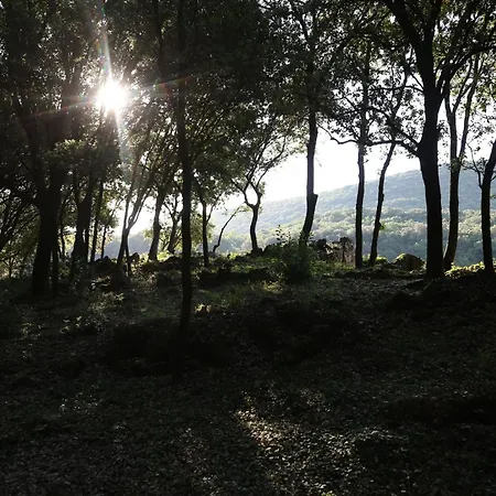 펜션 Mas La Solarie - Piscine & Riviere Privee - Cevennes