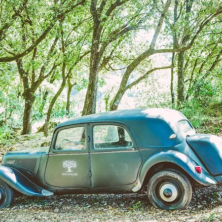 Casa vacanze Mas La Solarie Au Coeur Des Cévennes Avec Accès Privé à La Rivière Thoiras