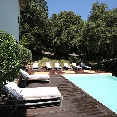 Mas La Solarie - Piscine & Riviere Privee - Cevennes 펜션 *