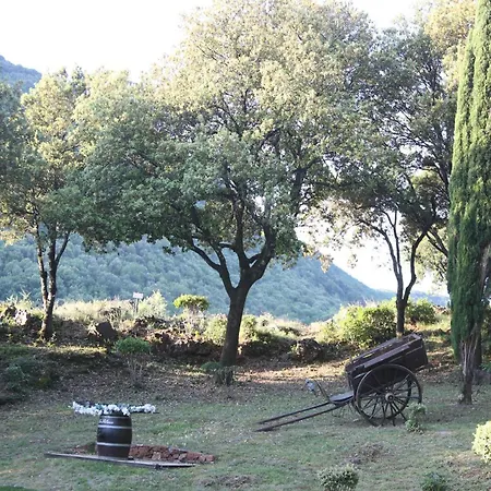 Mas La Solarie - Piscine & Riviere Privee - Cevennes Thoiras
