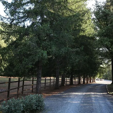 Mas La Solarie Au Coeur Des Cévennes Avec Accès Privé à La Rivière * Thoiras