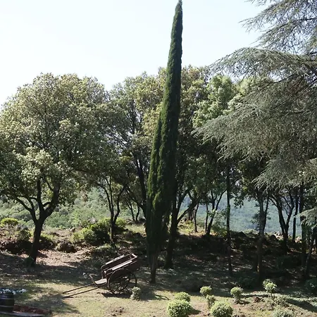 Mas La Solarie - Piscine & Riviere Privee - Cevennes 펜션