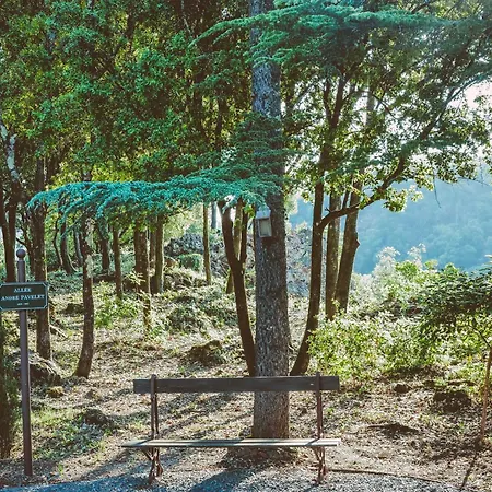 Mas La Solarie Au Coeur Des Cévennes Avec Accès Privé à La Rivière Casa vacanze Thoiras