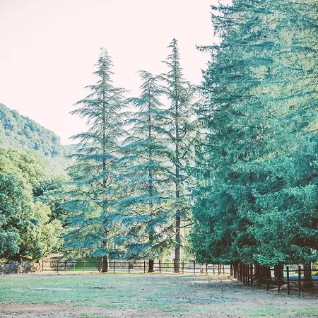 Mas La Solarie - Piscine & Riviere Privee - Cevennes 펜션
