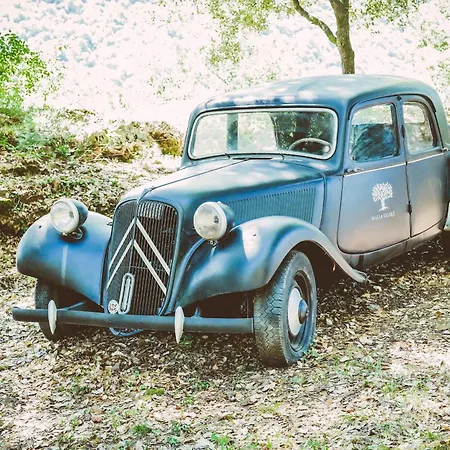 Mas La Solarie Au Coeur Des Cévennes Avec Accès Privé à La Rivière Casa vacanze
