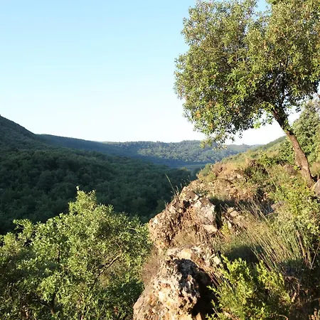 Mas La Solarie - Piscine & Riviere Privee - Cevennes *