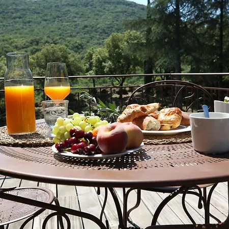 Mas La Solarie - Piscine & Riviere Privee - Cevennes