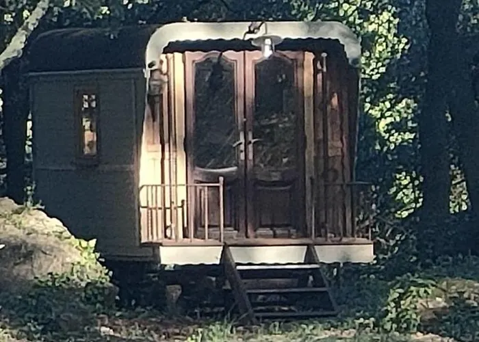 Mas La Solarie Au Coeur Des Cévennes Avec Accès Privé à La Rivière Hébergement de vacances *