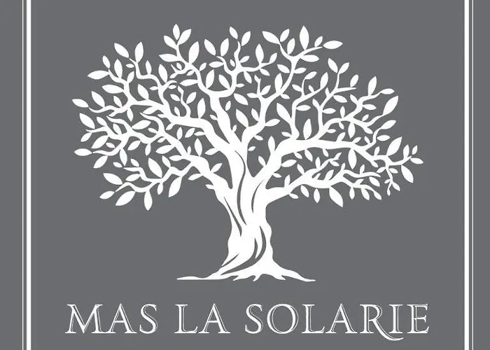 Mas La Solarie Au Coeur Des Cévennes Avec Accès Privé à La Rivière Hébergement de vacances Thoiras